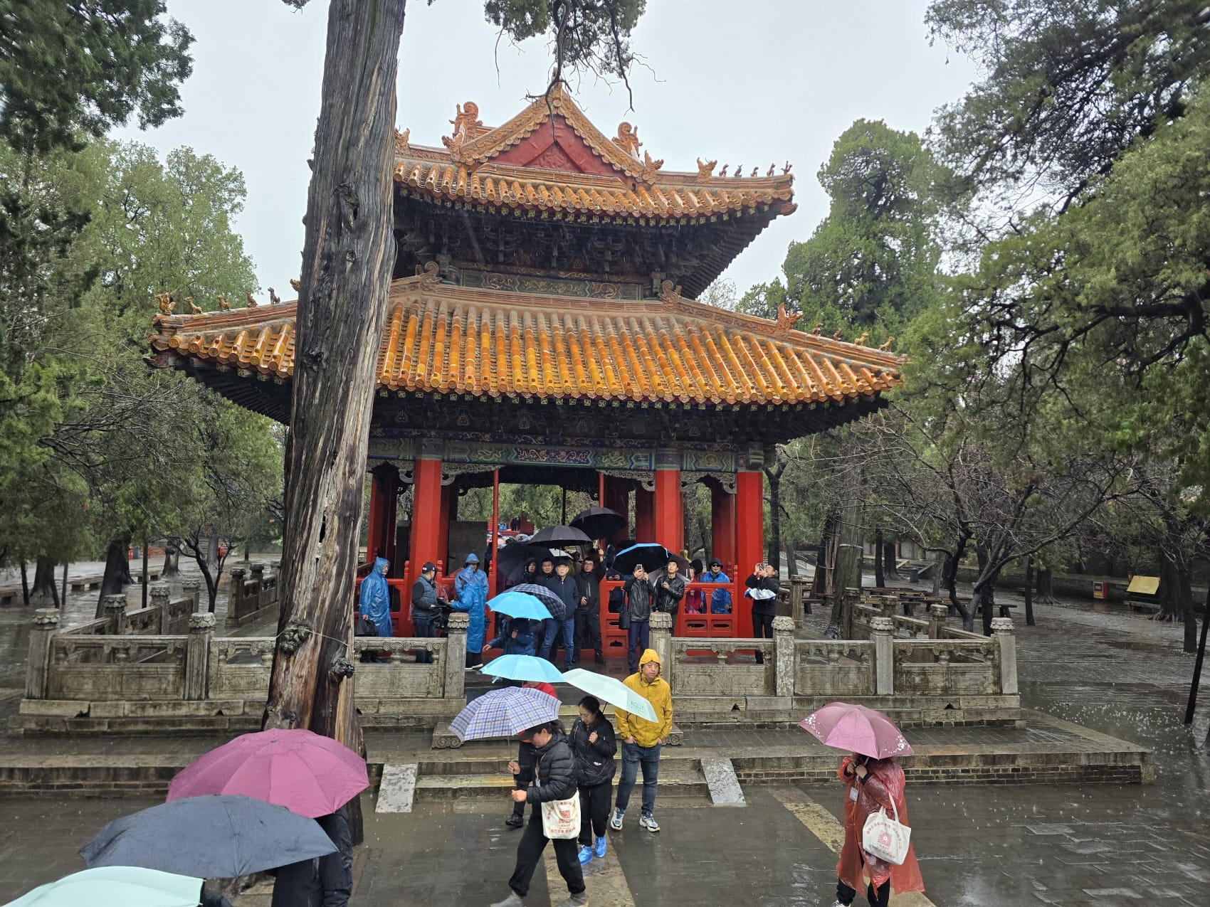 산동성 공자사당과 태산 7