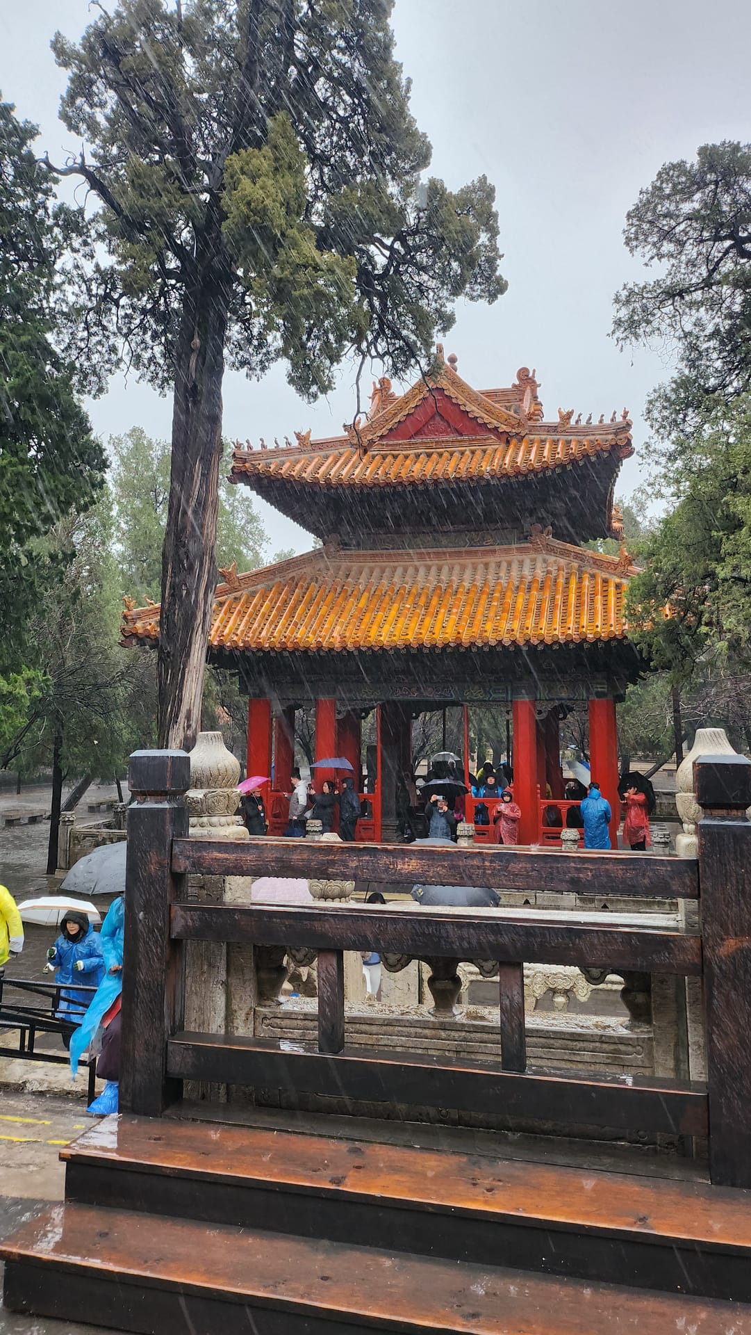산동성 공자사당과 태산 10